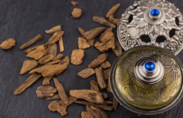 Skhidni ta derevni uniseks kompozytsiyi dlya vechora u teplu poru roku Ornate metal container with a blue jewel lid sits on a dark surface, surrounded by scattered brown wood chips or bark pieces.