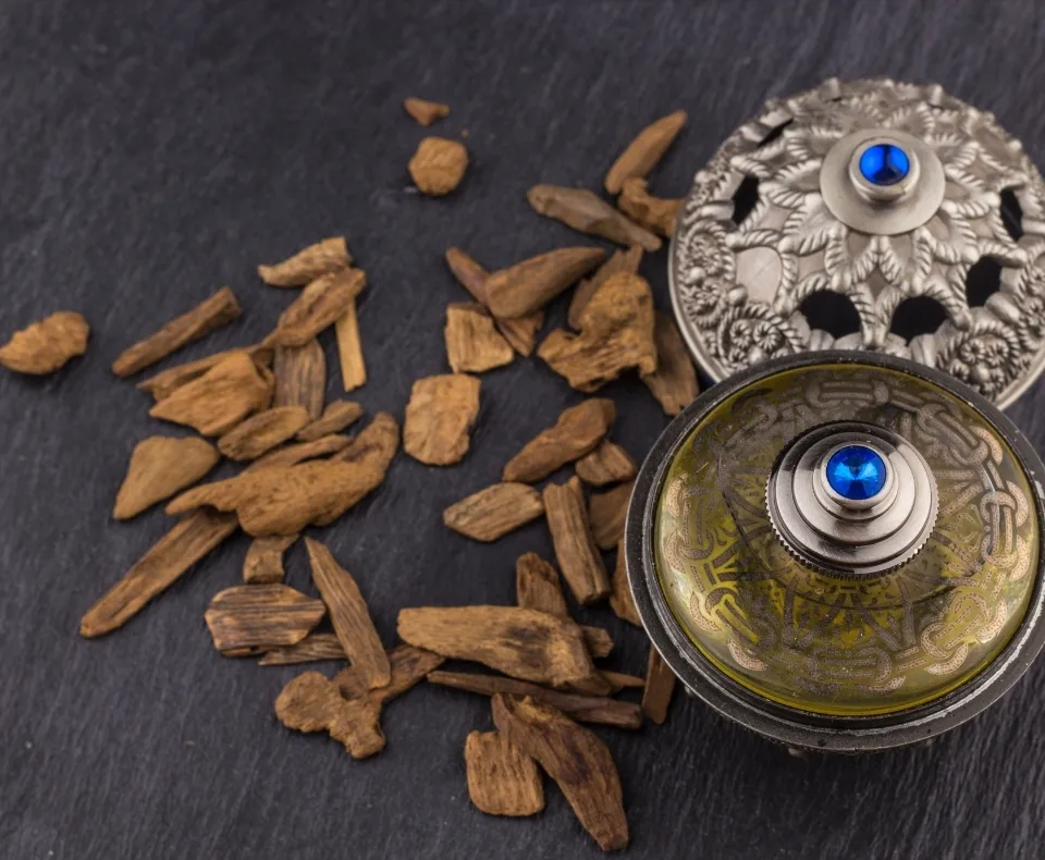Ornate metal container with a blue jewel lid sits on a dark surface, surrounded by scattered brown wood chips or bark pieces.